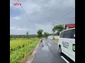 cinta suci. rhoma irama