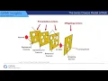 The Swiss Cheese Model of Risk