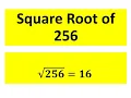 Square root of 256