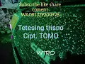 Download Lagu TETESING TRISNO Karaoke Sragenan cover Sangkuriang Cs OT KORG PA 700