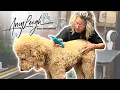 how to properly use a dog clipper to give your dog a haircut