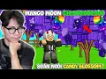 Download Lagu BI HUỲNH TRỒNG CÂY MẮC NHẤT MOON MANGO GIÁ 1 TỶ $ VÀ CÁI KẾT BẤT NGỜ TRONG GROW A GARDEN
