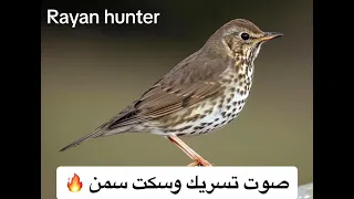 صوت تسريك وسكت سمن رائع مجرب ومكفول Rayan Hunter 