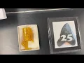 Fossil Lab Day