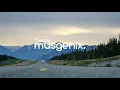 Download Lagu Evan McHugh - It's A Beautiful Day