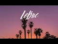 LeBuc - The Future Looks Bright If you think about it