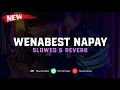 DJ Wenabest Napay ( Slowed \u0026 Reverb ) 🎧