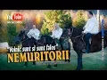 Download Lagu NEMURITORII . Voinic sunt si sunt falos / colaj (EtnoTv)