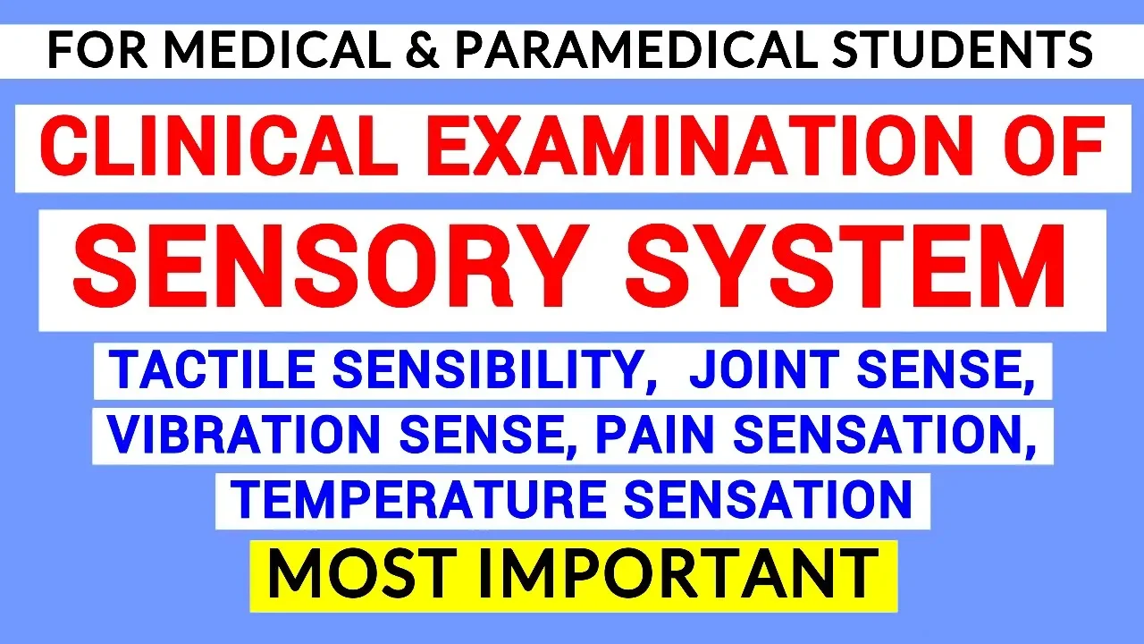 SENSORY SYSTEM EXAMINATION | CLINICAL LAB | PHYSIOLOGY