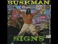 Downtown - Bushman