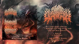 Download SPINAL DEFORMATION/VITAL FLESH/BUBBLEGUM CHAINSAW - SLAMS FROM BEYOND [OFFICIAL STREAM](2024)SW EXCL MP3