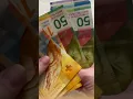 Download Lagu Video over contant geld en geld tellen in Zwitserse frank #швейцарскийфранк #CHF #respect #shorts