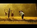 Download Lagu EMBONG LANDO  LAGU MANGGARAI PENGATAR TIDUR