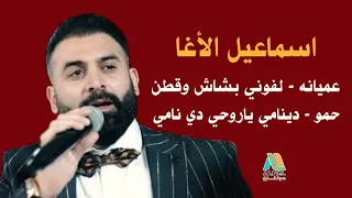 اسماعيل الأغا عميانه حمو لفوني بشاش وقطن دي نامي ياروحي دي نامي 