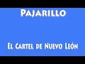 KARAOKE -  Pajarillo -  El Cartel de Nuevo León.