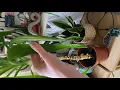 Arduino Capacitive Touch Sensor and Sound