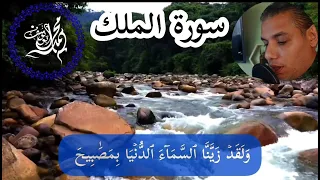                                                                                                      دندنها