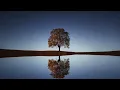 Download Lagu 1 HOUR BEAUTIFUL RELAXING PIANO - for Studying, Relaxation, Sleeping (by James Malikey)