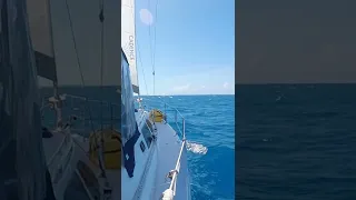 Sailing the Bahamas in 14-18 Knots #shorts – The Fosters aboard SV Cadence