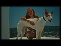Tell Me (feat. Pollena) - TSHA