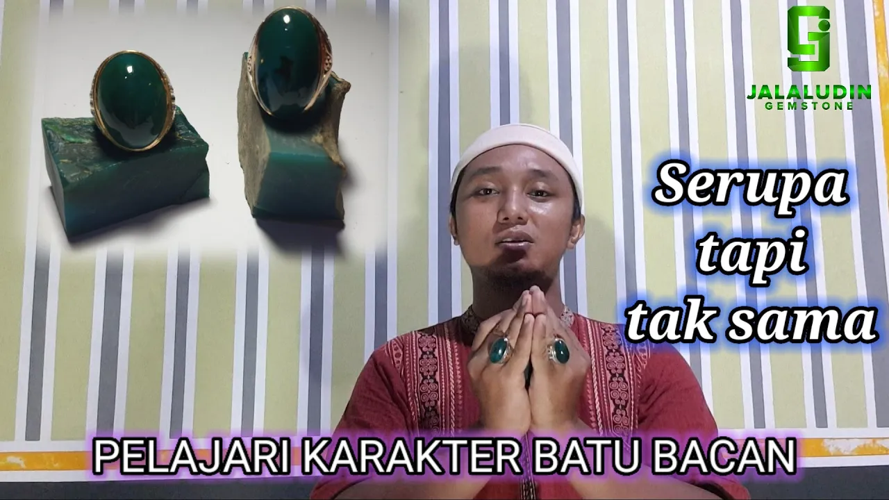 Buat bossku yang ingin memiliki bacan langsung aja Telp/Wa 081284100440. Harga kaki lima sampai bint. 