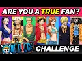 THE ULTIMATE One Piece QUIZ Are You a True Fan Anime Game