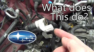 Your Engine Fart Recycling System DTC P1491