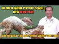 Download Lagu INI BUKTI BAHWA PENYAKIT SCABIES BISA MEMATIKAN || BAHAYA!! KAMBING MATI KARENA PENYAKIT SCABIES