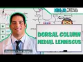 Ascending Tracts Dorsal Column Medial Lemniscus Pathway