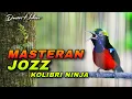 Lagu MASTERAN BURCIL KONIN GACOR FULL ISIAN TEMBAKAN ISTIMEWA COCOK UNTUK MATERI SEMUA JENIS BURUNG