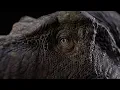 Download Lagu When You Hear The Most Realistic T.Rex Sounds...