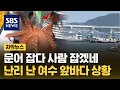 Download Lagu 문어 잡다 사람 잡겠네…여수 앞바다 난리 난 상황 (자막뉴스) / SBS