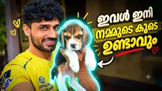 നമ്മടെ കൂടെ ഉണ്ടാവും ഇനി ഈ ബൂബു 🥰