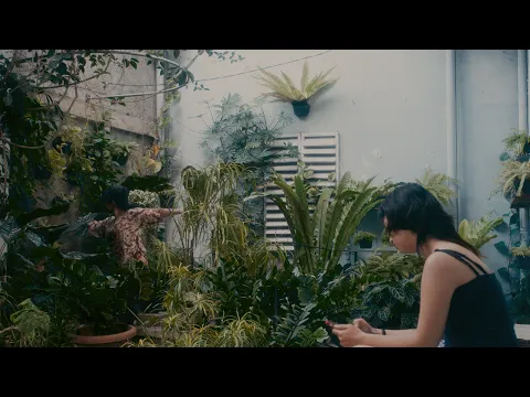 RIGHT BELLOW THE NECK Trailer