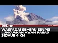 Download Lagu Semeru Berstatus Waspada! Detik detik Awan Panas Menjalar Turun ke Dasar Gunung | Kabar Petang tvOne