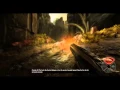Evolve Tutorial s - Abe