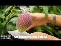 Download Lagu Why Miyazaki Mangoes Are So Expensive | So Expensive Food | Business Insider