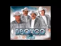 Oro  Bronco