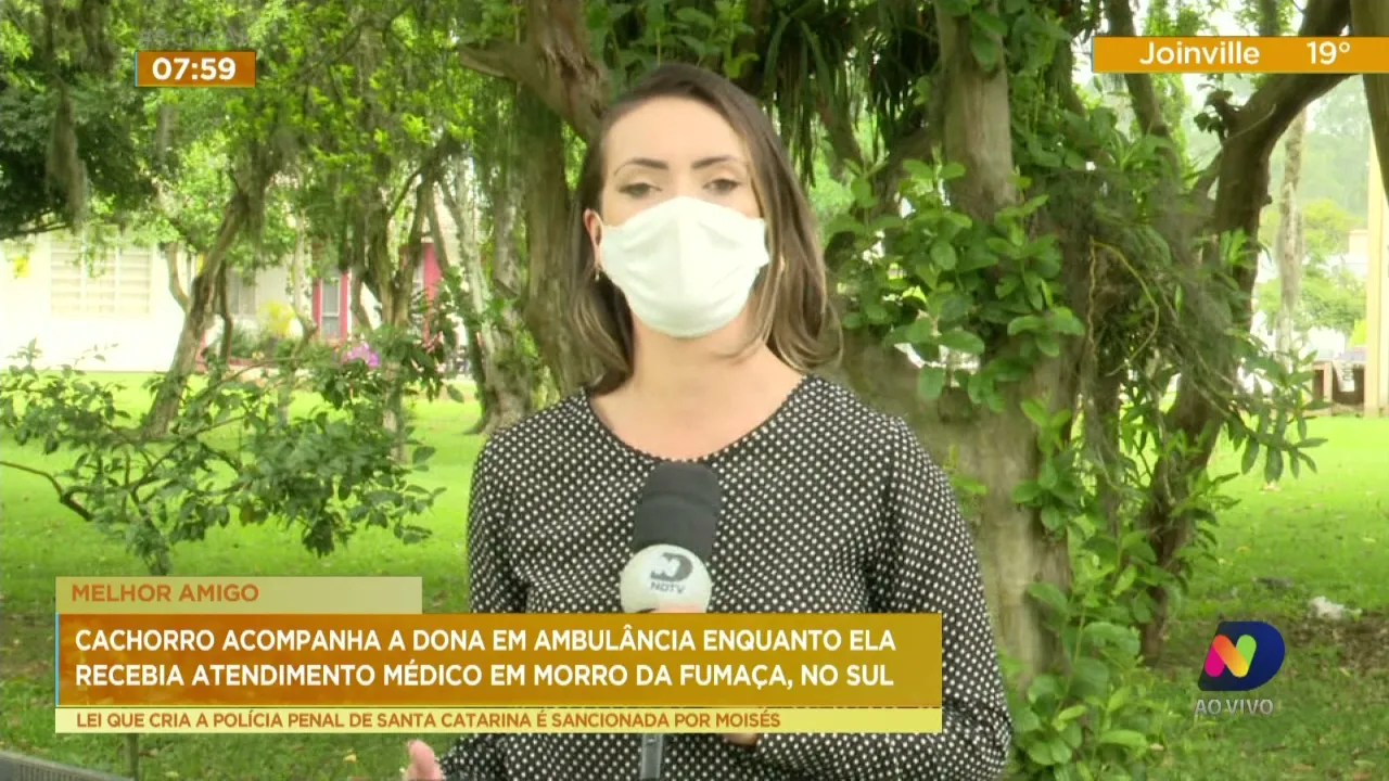 Cachorro acompanha a dona em ambulância enquanto ela recebia atendimento médico