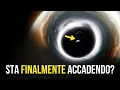 Download Lagu Michio Kaku: Abbiamo finalmente scoperto cosa c'è dentro un buco nero!
