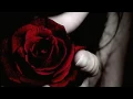 Download Lagu ♡ Večeras si Lijepa ♡ Željko Bebek-HD