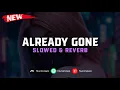 DJ Already Gone ( Slowed \u0026 Reverb ) 🎧