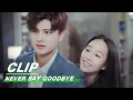Download Lagu Clip: Xin Is Jealous!!! | Never Say Goodbye EP20 | 不说再见 | iQiyi