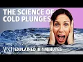 The Science Behind Cold Plunges Explained in Four Minutes