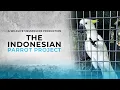Lagu Konservasi Kakatua Indonesia | Film Dokumentasi