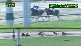 V162 | Divergente | Hipódromo Nacional de Valencia | Reunión 20 | 2026