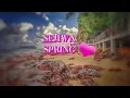SEJIWA - SPRING