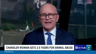 Kolsrud Law Offices on 12News for Charges in Animal Abuse Case In Chandler, AZ
