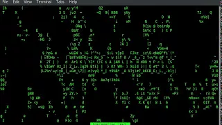 Python C porting and using shared library