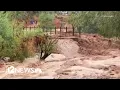 Havasu Canyon flooding Search continues for missing woman 104 rescued